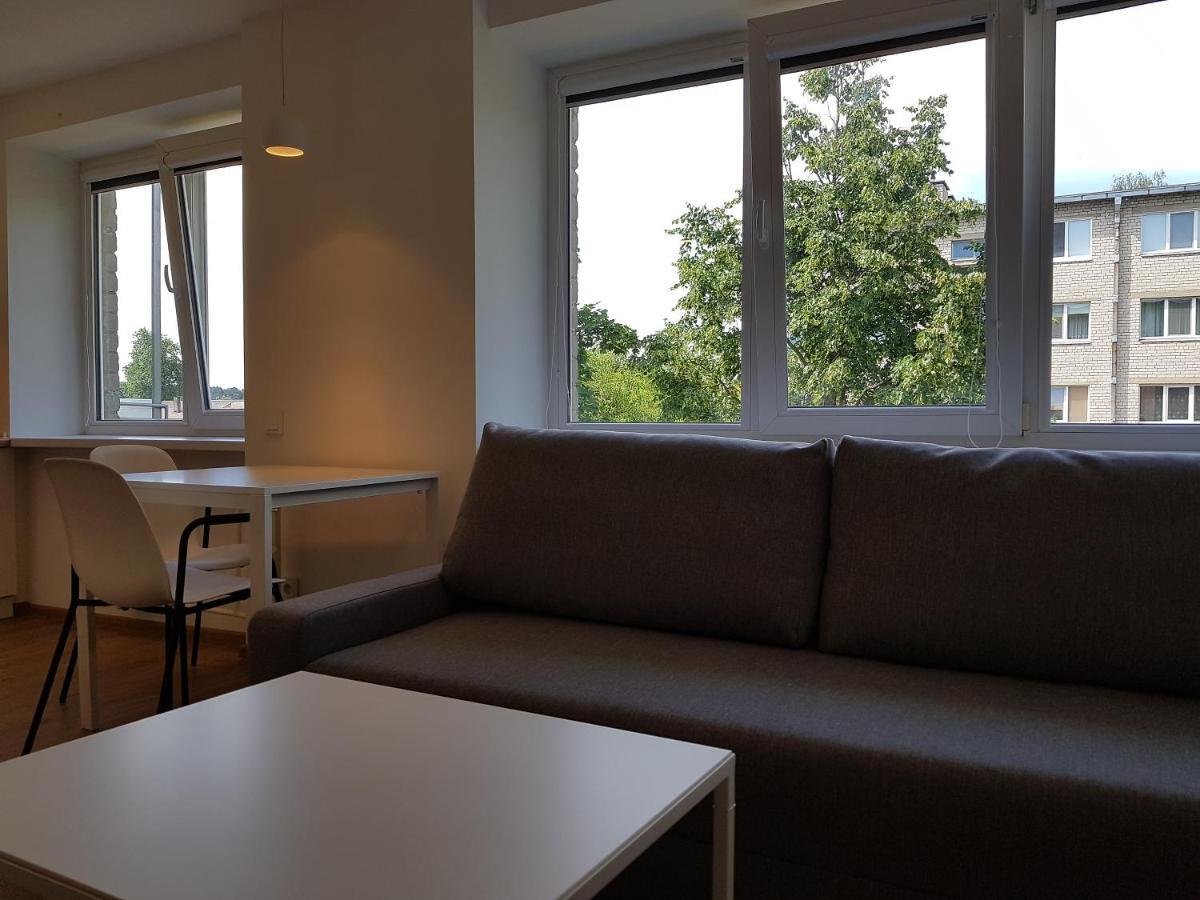 Anyksciai Cozy Studio ภายนอก รูปภาพ