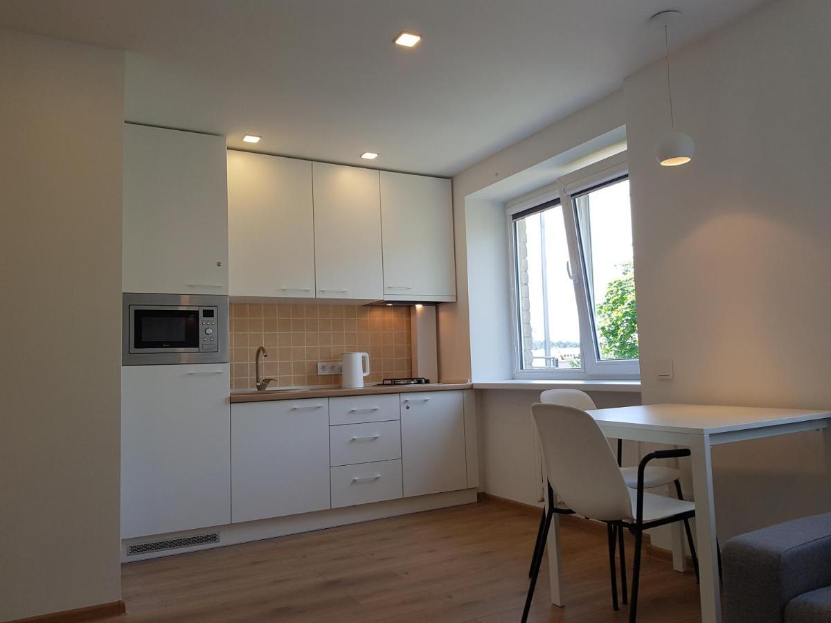 Anyksciai Cozy Studio ภายนอก รูปภาพ
